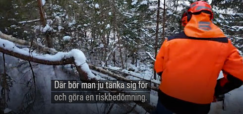 SVT Stormen Johannes